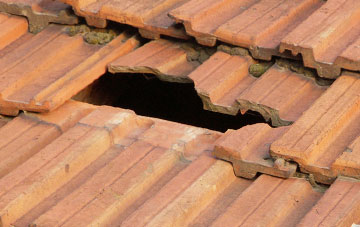 roof repair Black Carr, Norfolk